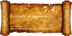 Tulipán Agnella névjegykártya